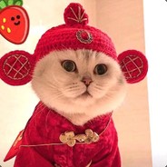 大哥大姐你们是傻。逼吗