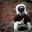 Zoboomafoo