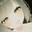 Shu