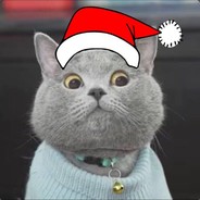 一片无名的叶子