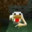 C092b47e1d17a9dedc1d89ee0402dae7170fbb16