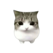 QwQ_Cat