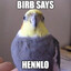 lil birb™