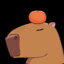 Capybara0w0