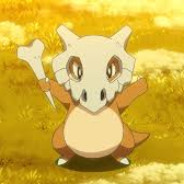 cubone