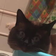 Big Avatar