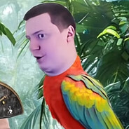 темный шпиц