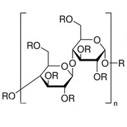 H D R X P R P L M T L C L L S