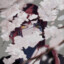 Mikhail_Vershin