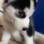 jlasjdlkjlfs (นนต์)