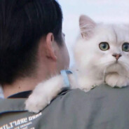 "-1945年8月15日-日本无条