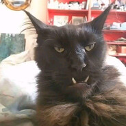 Nezzy Steam avatar