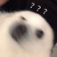 啊不急丢啊