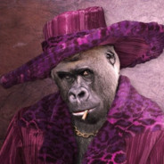 Pimp Chimpin&#039;