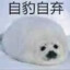 红卫兵
