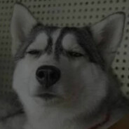 平底锅打喜羊羊