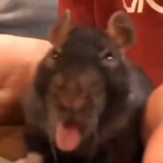 鹰郡牢大肘击耐摔王