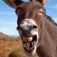 骡子和马的爱情故事