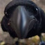 The Crow