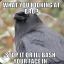 Gabe_The_Crow