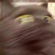 苦寻杭州白富美