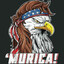 BIG MURICA HERE TO F*** YOU UP