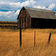Barn Voyeur's avatar