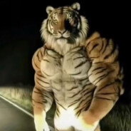 Trenbolone Tiger