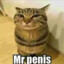 mr.penis