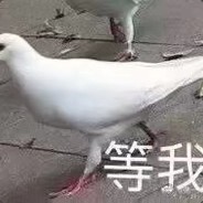 全球秋裤总代理