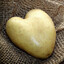SweerPotato