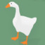 Oliver Goose