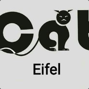 CaT_Eifel
