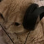 gamer_cat