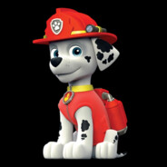 🐾Paw Patrol🐾 | Marshal