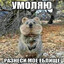 qxlw