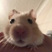 gu2cvhnk12 avatar