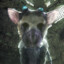 Trico