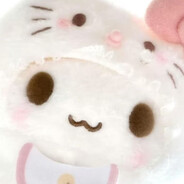 美美是只小臭猫