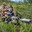 Sniper