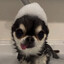 bty