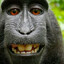 Monkeyman#savetf2™