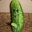 exotic pickle