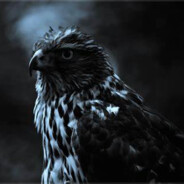 🅱🅰🆈 🅿🅸🅿🅾