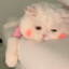 白
