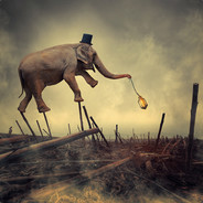 人是真的帅 枪是真的马