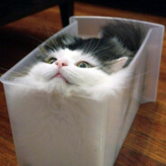 Liquid Cat