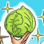 Letttuce1