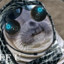 FunnyGrob