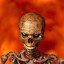 The boner
